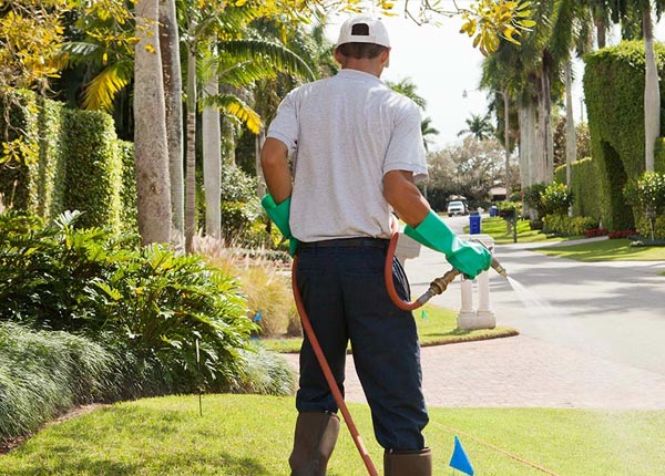 About Oldfield MO Pest Control